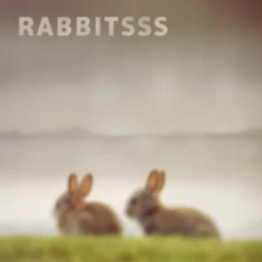 Penguins by Rabbitsss - album cover