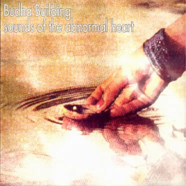 Sounds of the Abnormal Heart