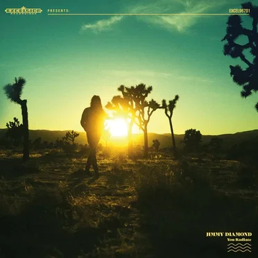 You Radiate by Jimmy Diamond - album cover