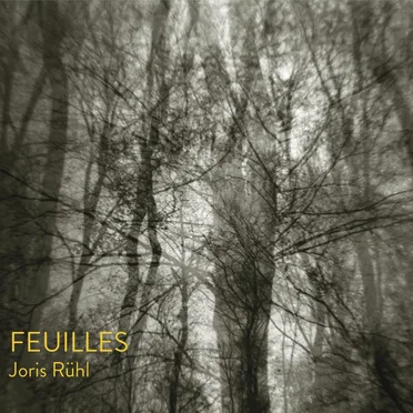 Joris Rühl