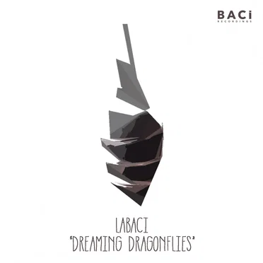 Dreaming Dragonflies by LaBaci - album cover