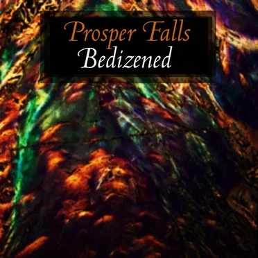 Bedizened by Prosper Falls - album cover