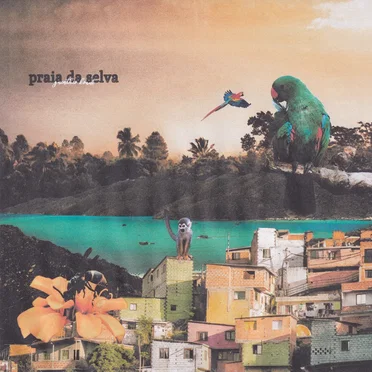 praia da selva by guenther kraut - album cover