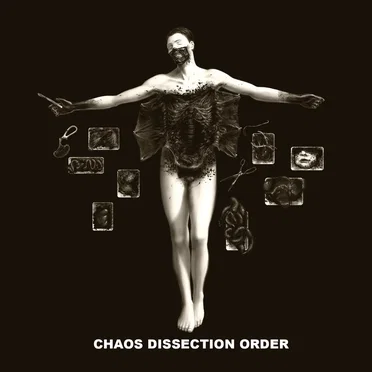 Chaos Dissection Order