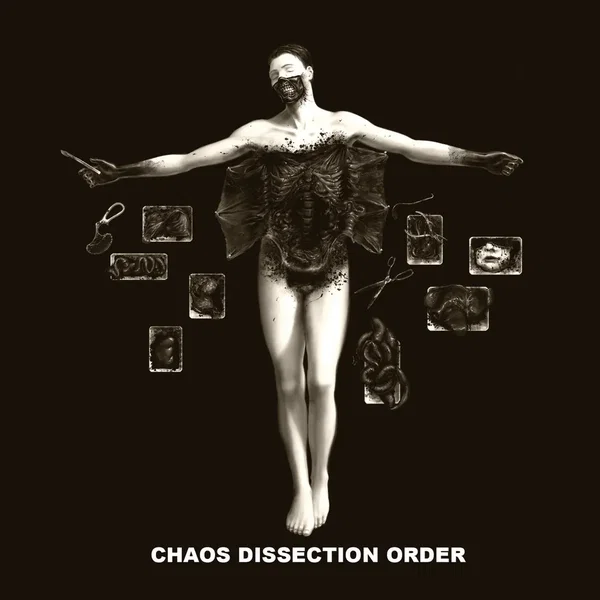 Chaos Dissection Order