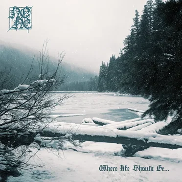 Where Life Should Be… by None - album cover