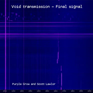 Void Transmission - Final Signal