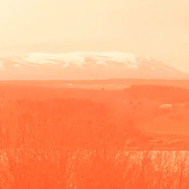 In the Wake of the Red Mist