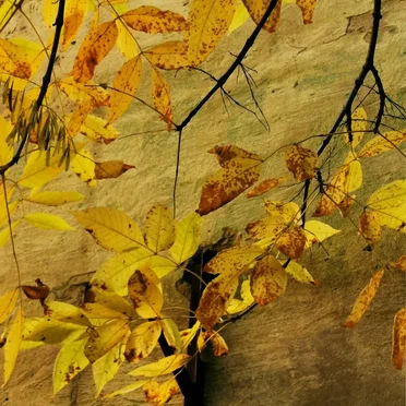 Hope by Slow Heart Music - album cover