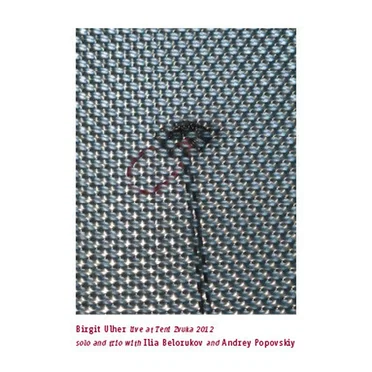 Live at Teni Zvuka 2012 Solo and Trio