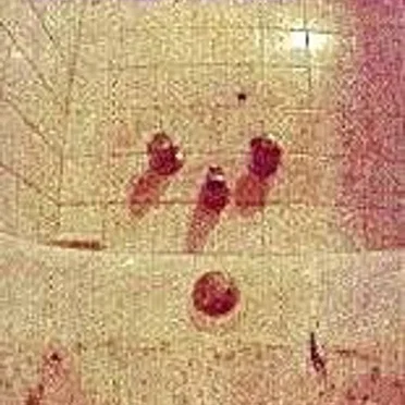 Music for the Bathroom