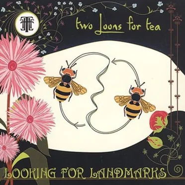 Looking for Landmarks by Two Loons for Tea - album cover