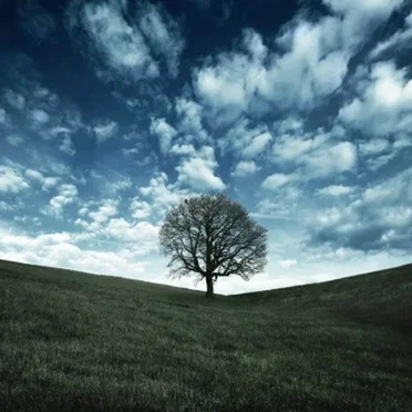 Life by Tom Day - album cover