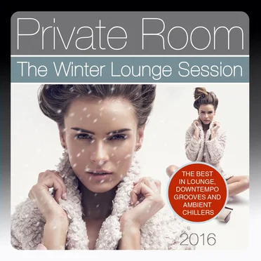 Private Room: The Winter Lounge Session 2016 by Various Artists - album cover