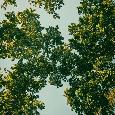 Mirror of the Heart #2