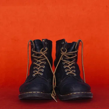 Reminiscent Walking by Shed - album cover