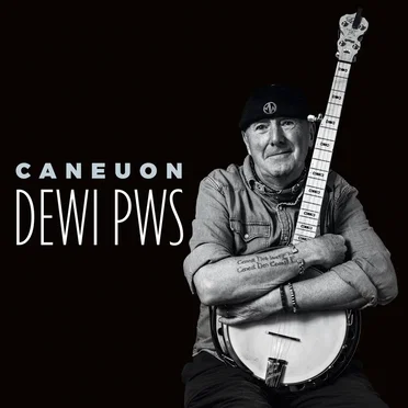 Caneuon Dewi Pws by Various Artists - album cover