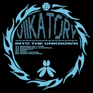 Into the Unknown