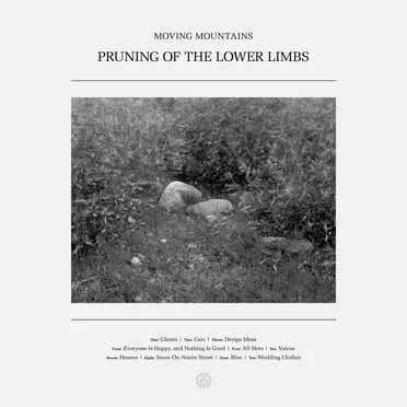 Pruning of the Lower Limbs