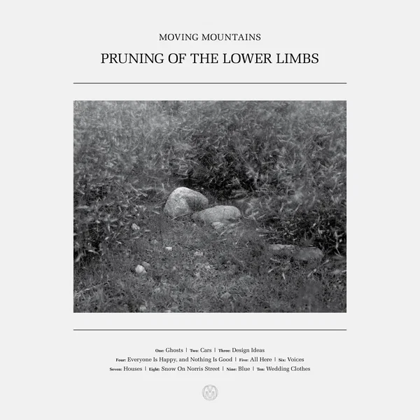 Pruning of the Lower Limbs