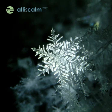 all|is|calm 2012 by Various Artists - album cover