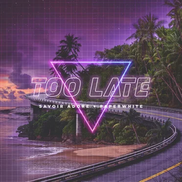 Too Late by Savoir Adore - album cover