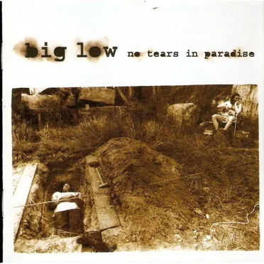 No Tears in Paradise by Big Low - album cover