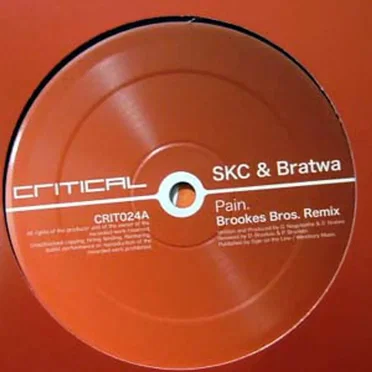 Pain (Brookes Bros. remix) / Fritenight