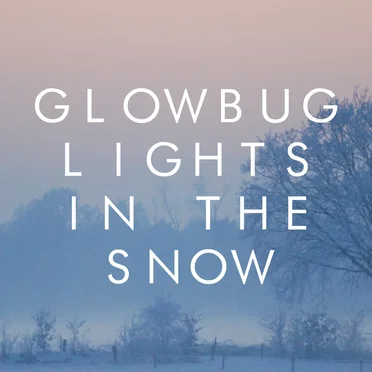 Lights in the Snow