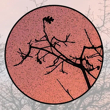 Moonlit Missive #98: 'The Wondrous Stubborn Lyre'