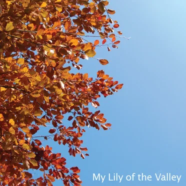 Summer First Kiss by My Lily of the Valley - album cover