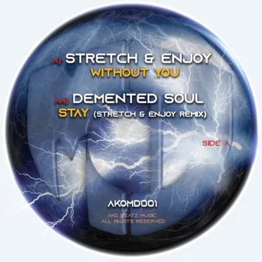 Without You / Stay (remix)