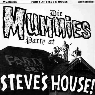 Party At Steve's House!