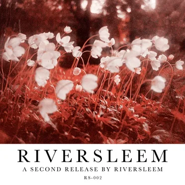 A Second Release by Riversleem by Riversleem - album cover