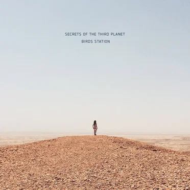 Birds Station by Secrets of the Third Planet - album cover