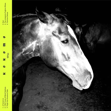 Whip