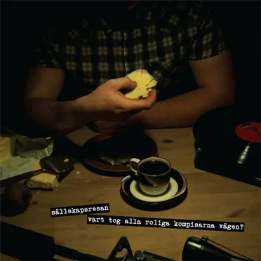 Vart tog alla roliga kompisarna vägen? by Sällskapsresan - album cover