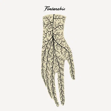 Fontarabie by Fontarabie - album cover