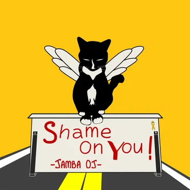 Shame On You