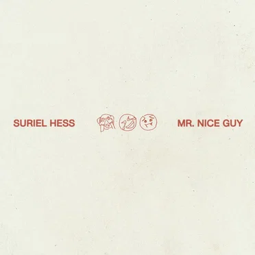 Mr. Nice Guy