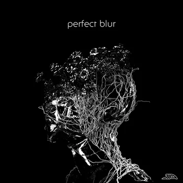 Perfect Blur