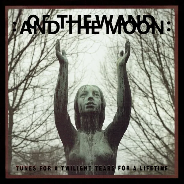 Tunes for a Twilight Tears for a Lifetime