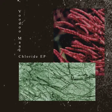 Chloride EP by VOODOO MANE - album cover