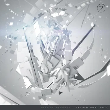 The New Breed Vol 2 by Various Artists - album cover