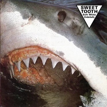 Soft White Underbelly by Sweet Tooth - album cover