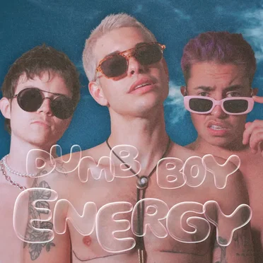 Dumb Boy Energy by The Pussyboys - album cover