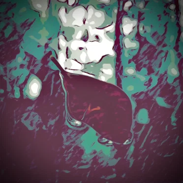 Windshield Raindrops