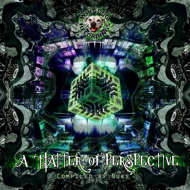A Matter of Perspective by Various Artists - album cover