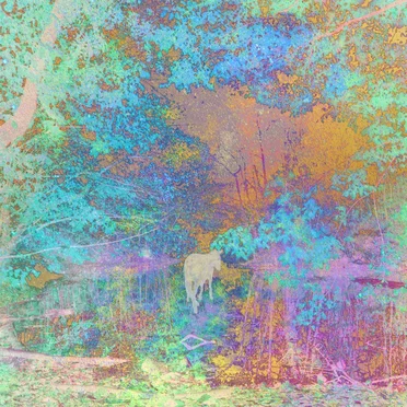 Selected Work 1999-2002 (b-sides)