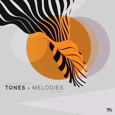 Tones & Melodies (Volume 8) by Various Artists - album cover